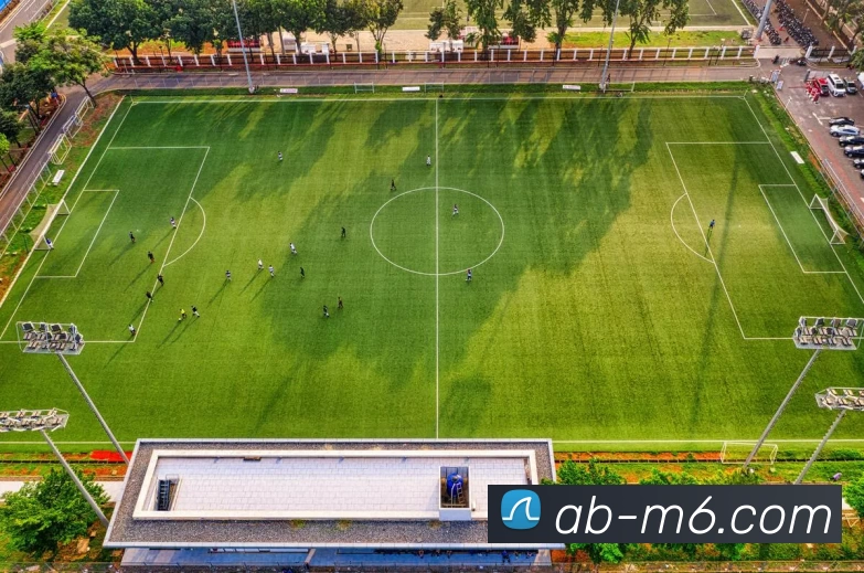 M6体育注册APP 封面图